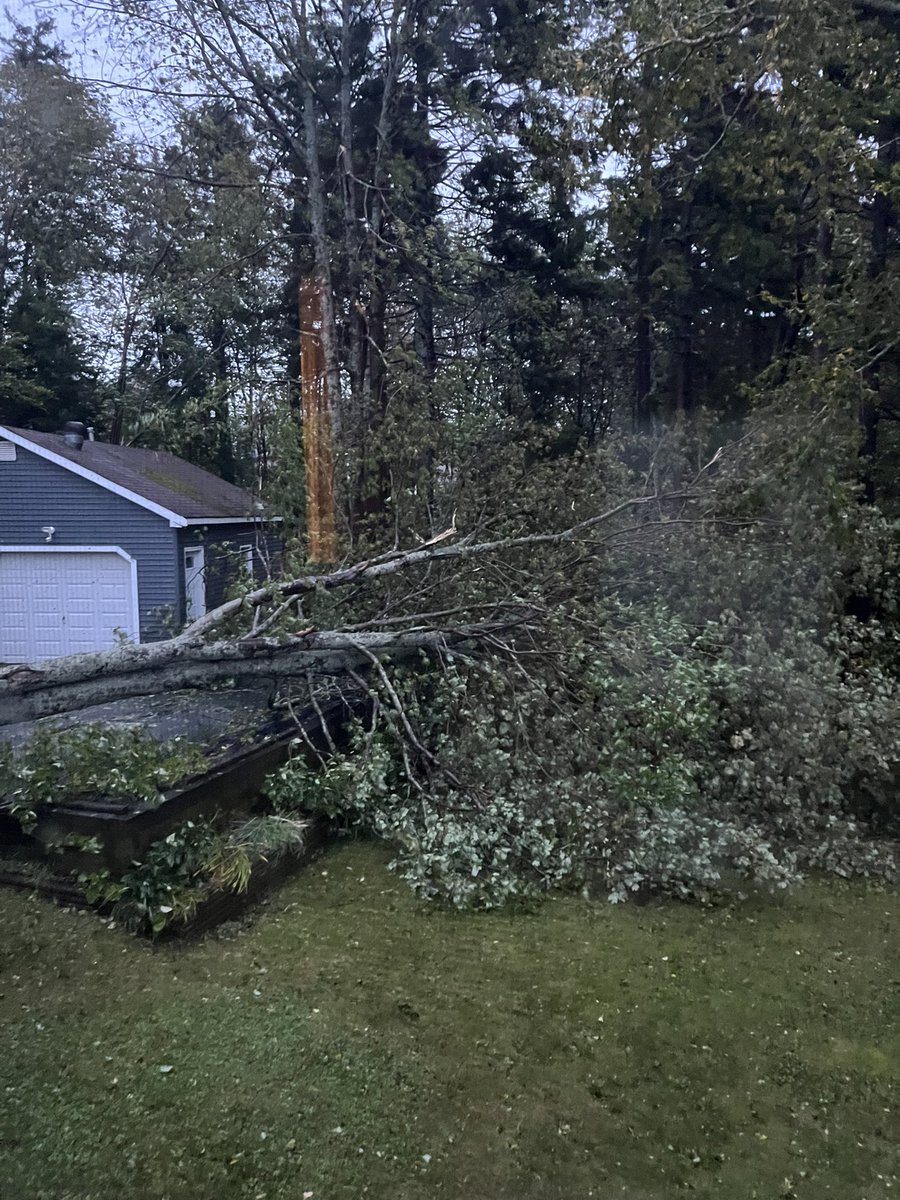 Rielder's tweet image. We are so fortunate that no one was hurt and the house wasn’t damaged #FionaNS