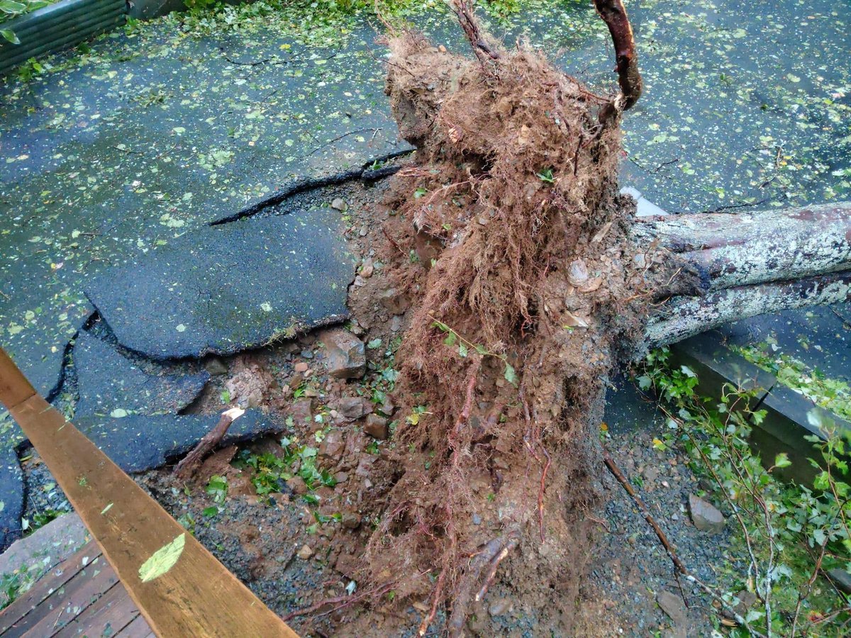 Rielder's tweet image. We are so fortunate that no one was hurt and the house wasn’t damaged #FionaNS