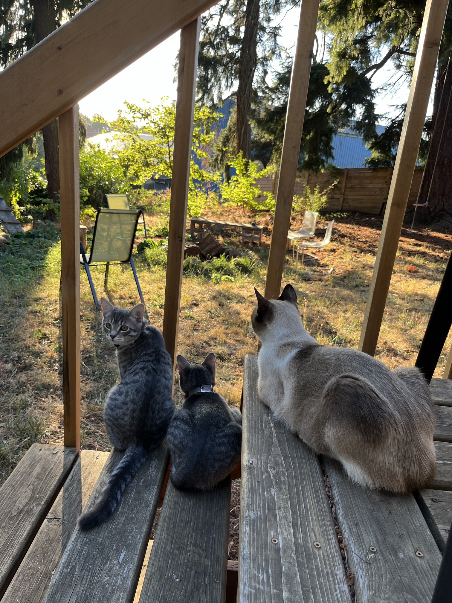 heidi briones on Twitter "my kids love kicking it ♥️ https//t.co