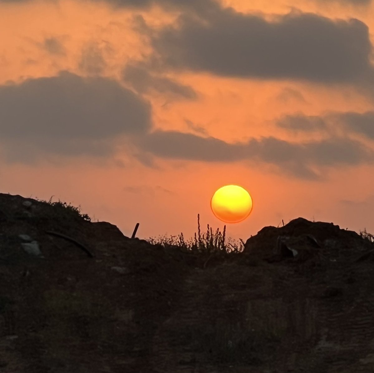 NatureAmazesMe's tweet photo. #Nature #Sunset #AmazingSunsets #photography #EnjoyLife https://t.co/GkLx1oJbhR