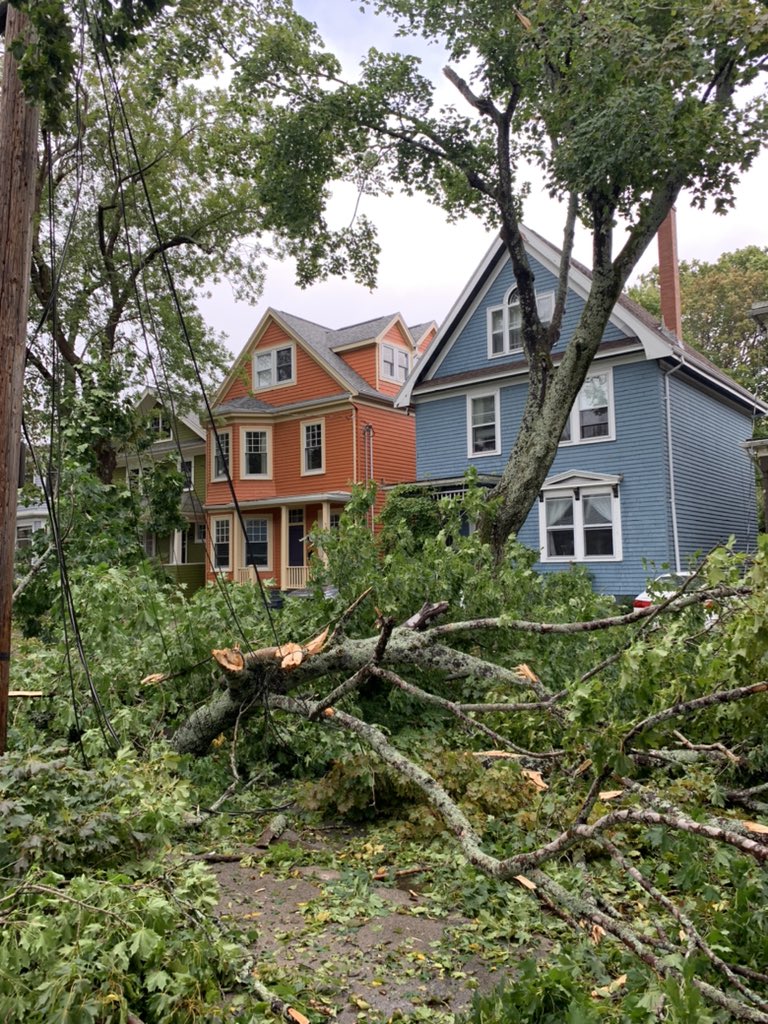 Georgi Laukert tweet media