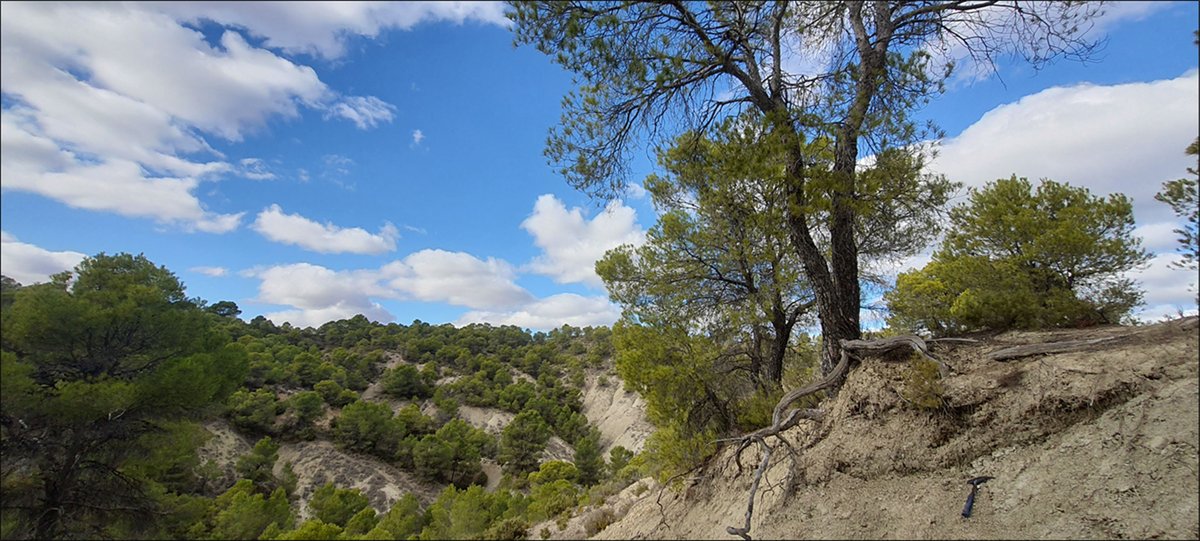PatrimonioGeo's tweet photo. Animaos a conocer la Capa Negra del Barranco del Gredero. Un Monumento Natural catalogado como uno de los Lugares de Interés Geológico más importante a nivel mundial 🔝🔝
@sgeologica #InternationalGeodiversityDay #Geodiversidad https://t.co/I0IECxgA3D
