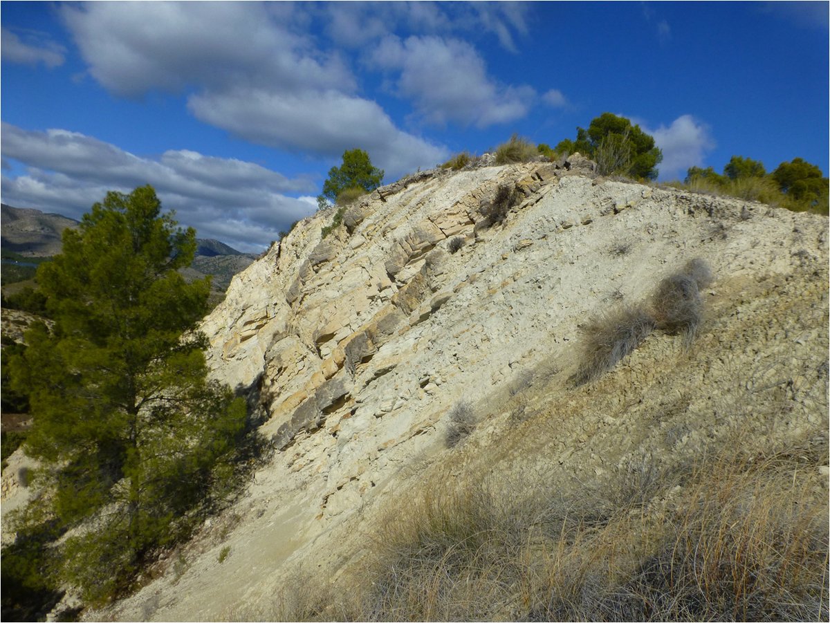 Animaos a conocer la Capa Negra del Barranco del Gredero. Un Monumento Natural catalogado como uno de los Lugares de Interés Geológico más importante a nivel mundial 🔝🔝
<a href="/sgeologica/">Soc Geológica España</a> #InternationalGeodiversityDay #Geodiversidad