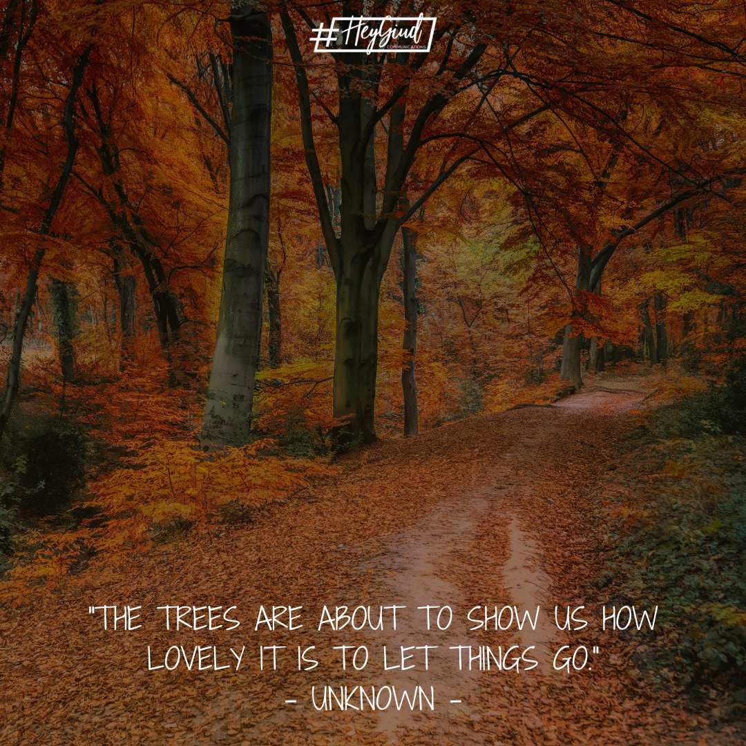 HeyGiudDSM's tweet photo. "The trees are about to show us lovely it is to let things go."
- Unknown

Those trees, they teach us so many wonderful lessons.
What are you letting go this fall? https://t.co/0j3gLgA0YM