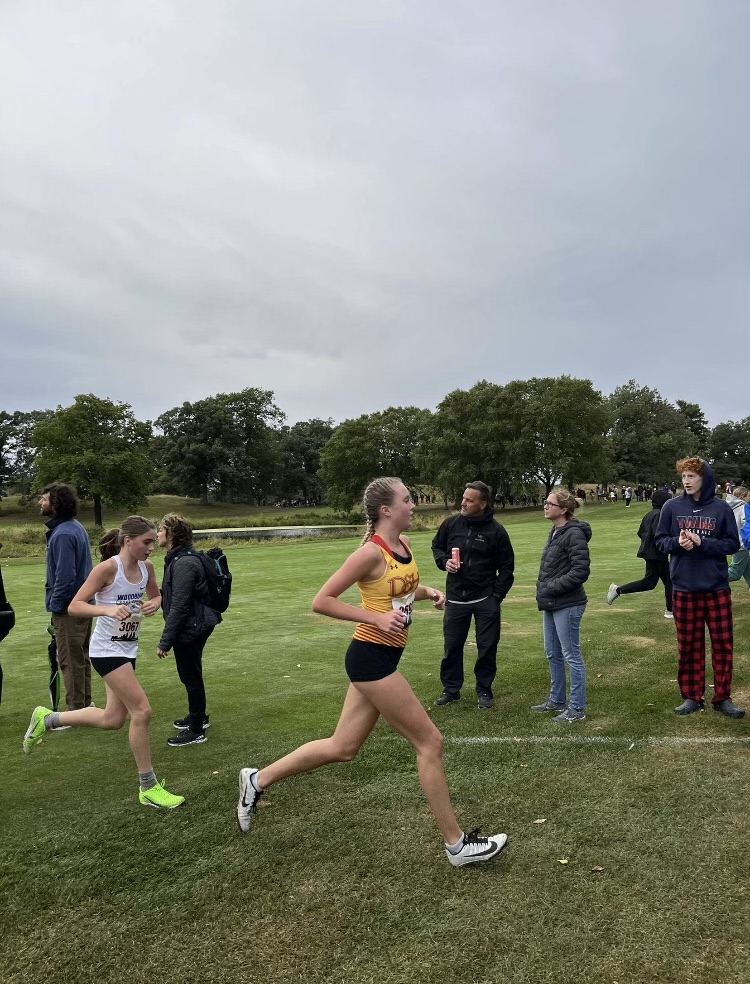 DSHA Athletics tweet media