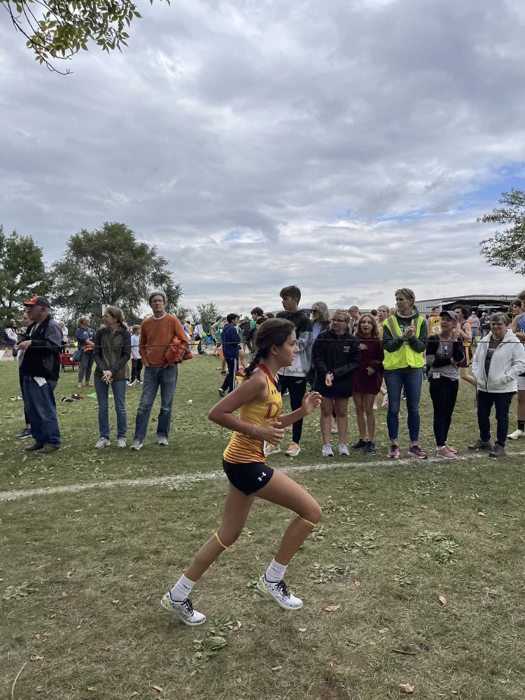 DSHA Athletics tweet media