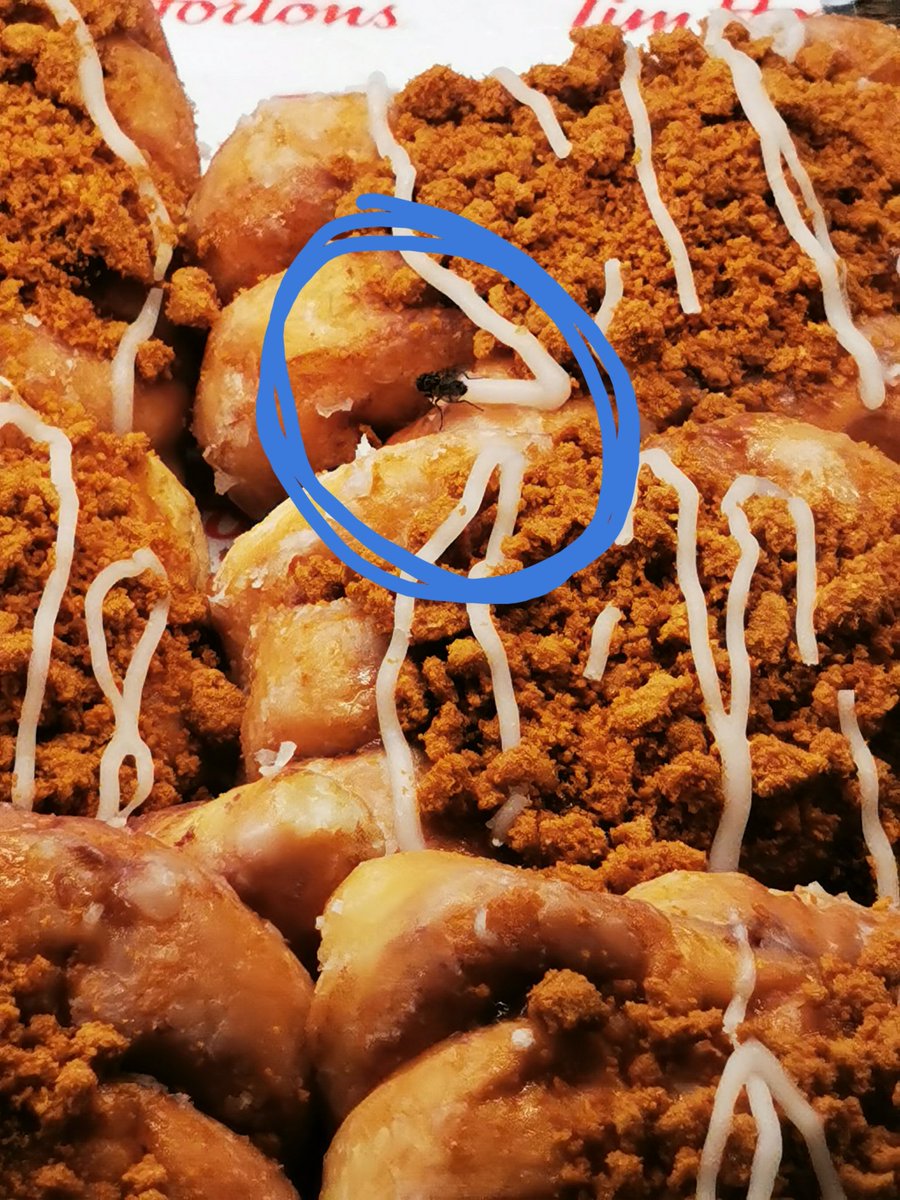 midgento's tweet photo. @timhortonsuk didn't realise you offer *extra fresh* protein on your doughnuts. What's worse is the guy is still plating up doughnuts and is either the world's most ignorant man or just disgusting 😰🤮🤮🤮 https://t.co/n3Rijui9xc