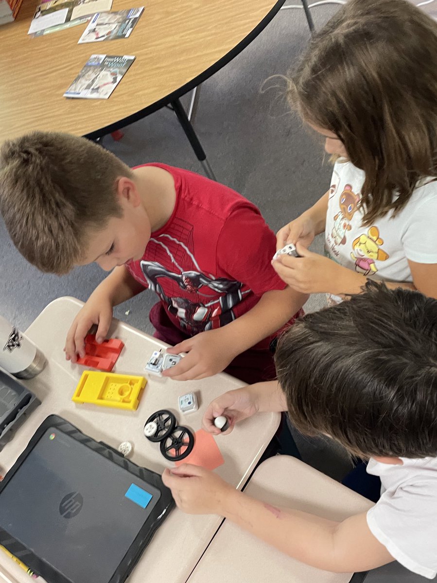 Elizabeth tweet media