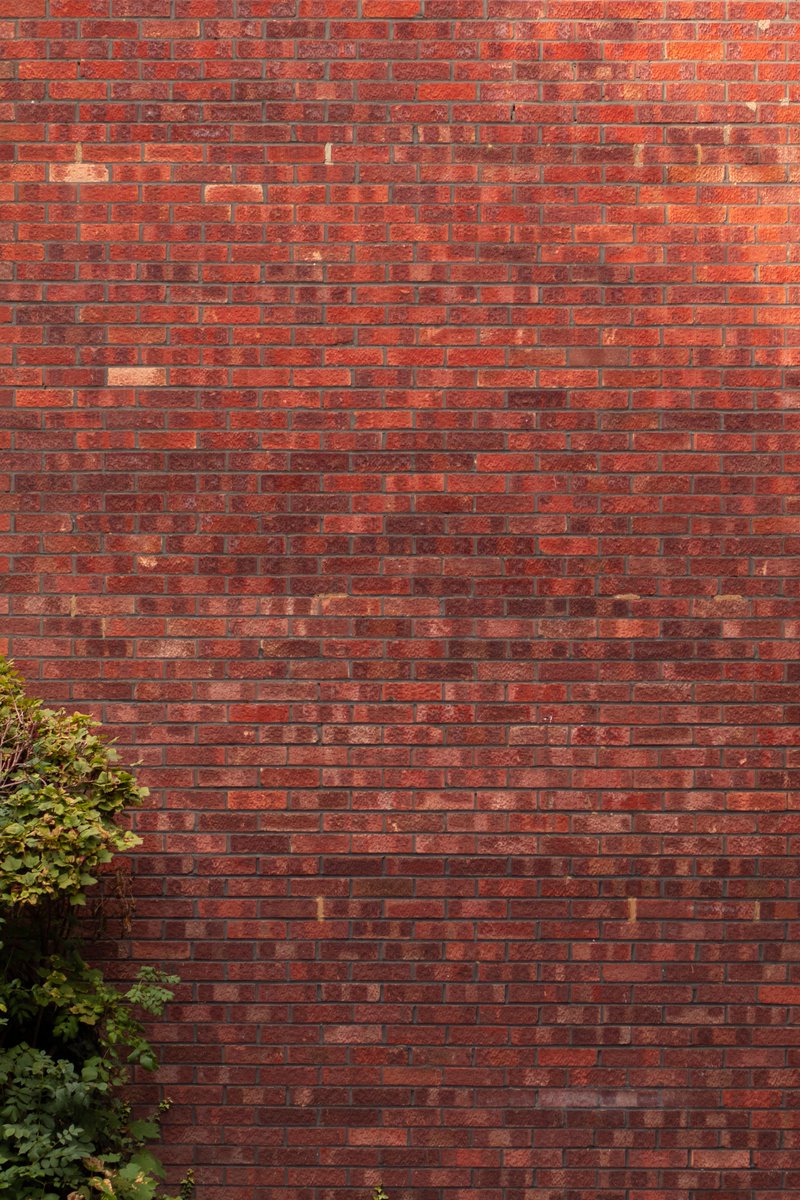 24.09.2022 - #wall 📸 Gear: #CanonT7i // #85mm 📍 Location: #London 💻 Edit: #lightroom ———————————————————————- #photography #photooftheday #wallpaper #eos #canoneos #canonphotography #canonuk #photoshoot #brickwall #Wallpapers #photo #Kingston #photographeroftheday