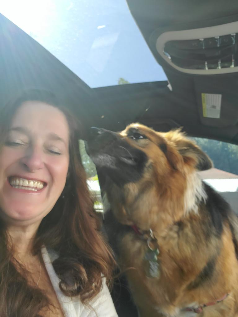 CarolinaLuWho's tweet photo. She gets so mad when I try to take roadtrip selfies with her lol
#sillylilly https://t.co/uggR1gn7rG