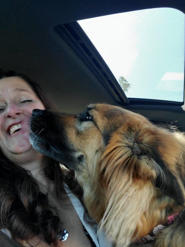 CarolinaLuWho's tweet photo. She gets so mad when I try to take roadtrip selfies with her lol
#sillylilly https://t.co/uggR1gn7rG