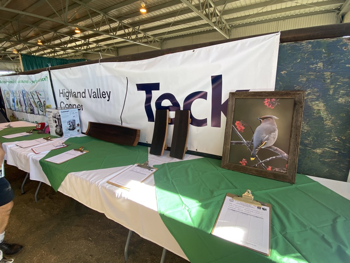 PWFKamloops's tweet photo. It’s so busy in the office this weekend I am behind on my posts! It’s been a great day &amp; weekend so far! It’s our sheep show today! Come on down for some Greek food, watch the sheep show and bid on some fabulous silent auction items!!  See you down here at the -#84thPWF! https://t.co/8iKaOkUvc7
