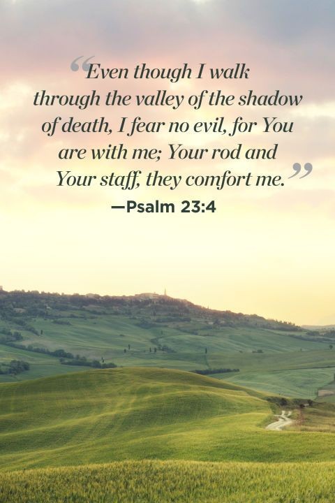 ministerricky1's tweet photo. @ErniHaesloop Almighty God please #KeepYourPeople in #Safety, #Peace & #Wellness
For the #EnemyProwls searching for victims
Please #BeOurGuard, hold our hand & #BeOurGuide, & make #YourRodAndStaffComfortUs
In #JesusChrist's AllPowerful Name
TY
#EuropaAfricaUS https://t.co/RV8oMlTgWn