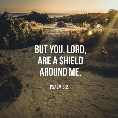 ministerricky1's tweet photo. @ErniHaesloop Almighty God please #KeepYourPeople in #Safety, #Peace & #Wellness
For the #EnemyProwls searching for victims
Please #BeOurGuard, hold our hand & #BeOurGuide, & make #YourRodAndStaffComfortUs
In #JesusChrist's AllPowerful Name
TY
#EuropaAfricaUS https://t.co/RV8oMlTgWn