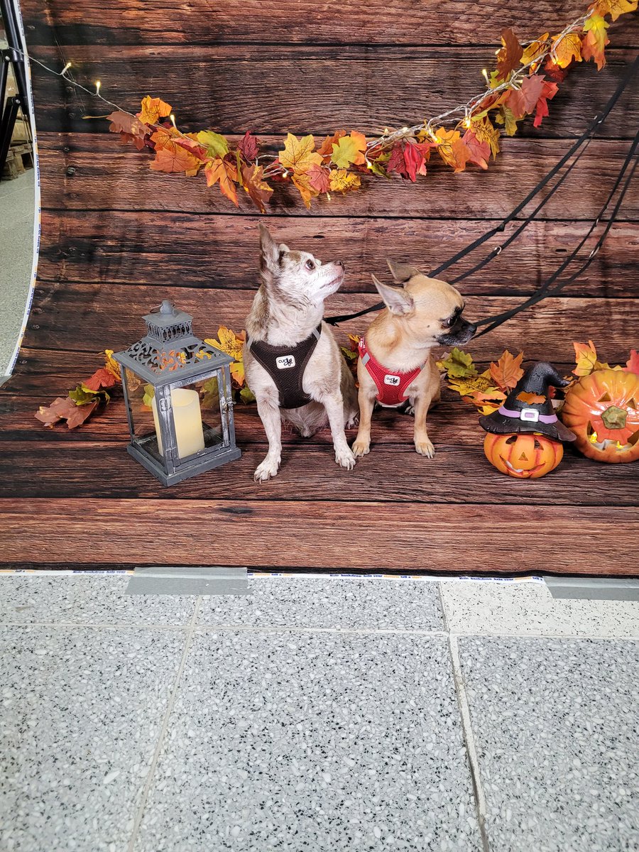 Gute Nacht. War ein anstrengender Tag.