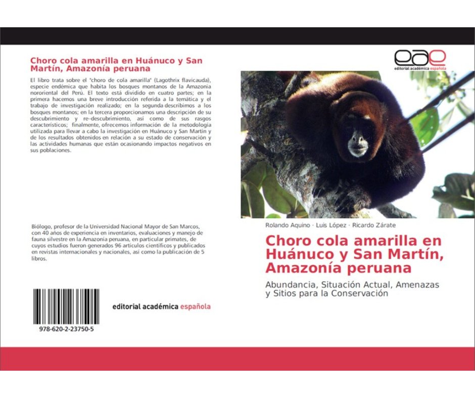 primates_peru's tweet photo. Publicaron el texto completo del libro : "#Lagothrixflavicauda en Huánuco y San Martín, Amazonía peruana”, publicado por Rolando Aquino, @luislopezra Ricardo Zárate, Pedro Perez y Maria Ramos. Una contribución importante para la primatología peruana: https://t.co/CFYzwFzmt0 https://t.co/27bZlWbPZE