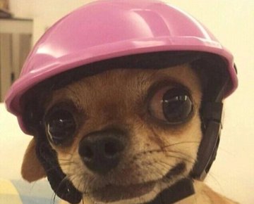 Terry80285748's tweet photo. @mrwtffacts Yoh https://t.co/KKJDS8AT8i