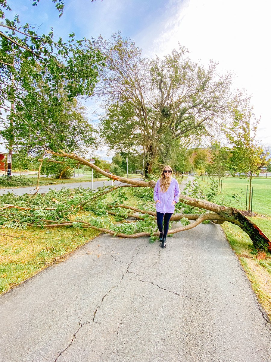 shortpresents's tweet photo. I wish I could find the photo I have from hurricane Dorian almost nearly in this exact same spot ! Oof our poor trees have been through a lot. #fiona #fionahurricane #halifaxcommons https://t.co/F2LSRu1oma