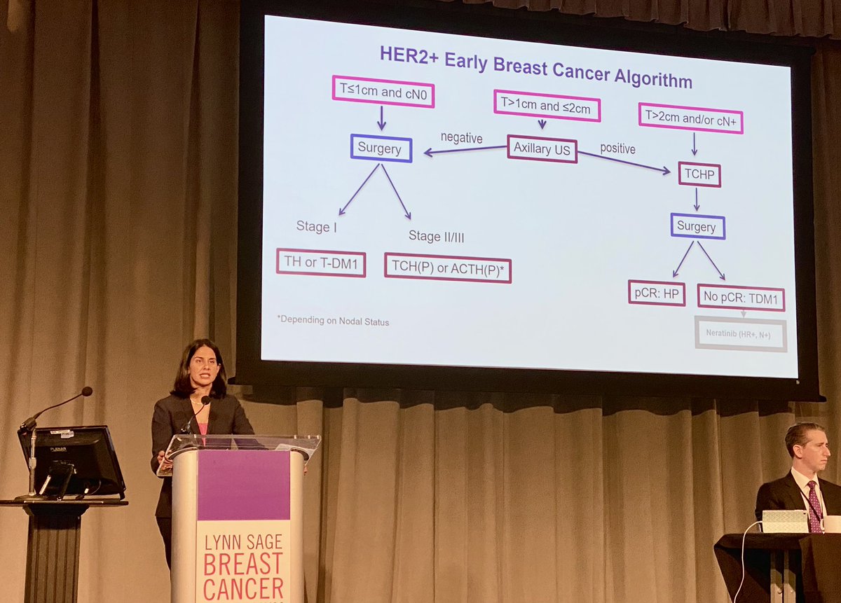 CCortiMD's tweet photo. Prof @stolaney1 providing historical remarks and novel insights into the management of early-stage HER2-positive breast cancer. @LurieCancer #LSBC22 @lynnsage #bcsm https://t.co/XyUsFmAlzz