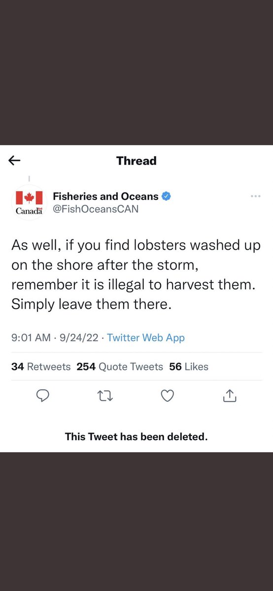 AllisonFurlong's tweet photo. Shame on you, @FishOceansCAN. You’re concerned about a few lobsters when people in #PortauxBasques are losing their homes due to #Fiona and literally have nothing. Good grief. I sincerely hope this turns into the PR nightmare it should be #nlpoli #cdnpoli https://t.co/5UrI8O0i90