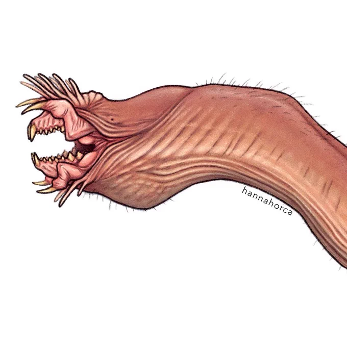 Dragon details  