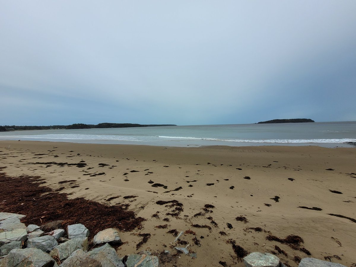 Kaleb Zelman tweet media