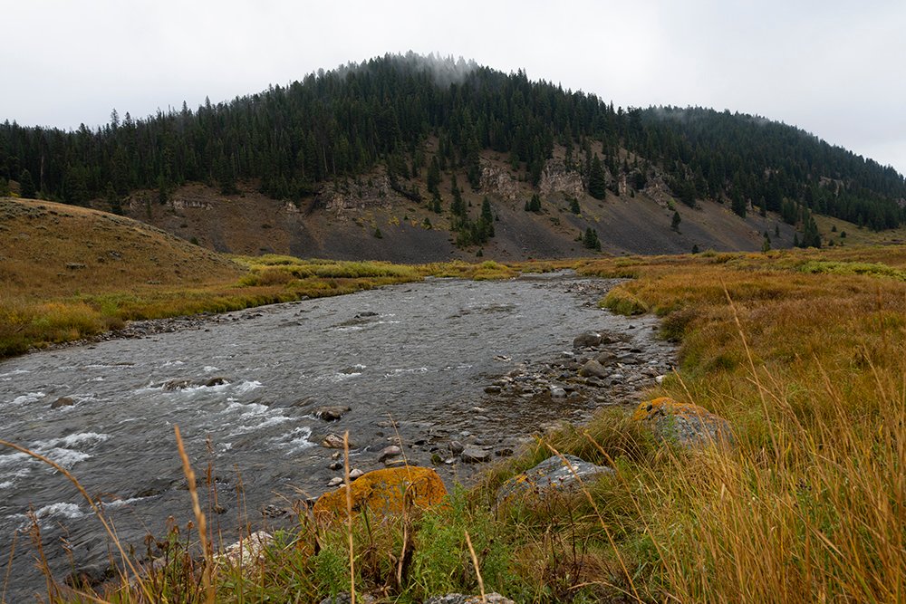 Fall arrived with a dusting of snow as colors changed along the rivers
yellowstonecabinscfl.com
:
#madisonriver #montana #westyellowstone #cabinrental #flyfishing #jimsflyco #onthefly #whitingfarms #hiking #yellowstonenationalpark #breakfast #campfirelodge