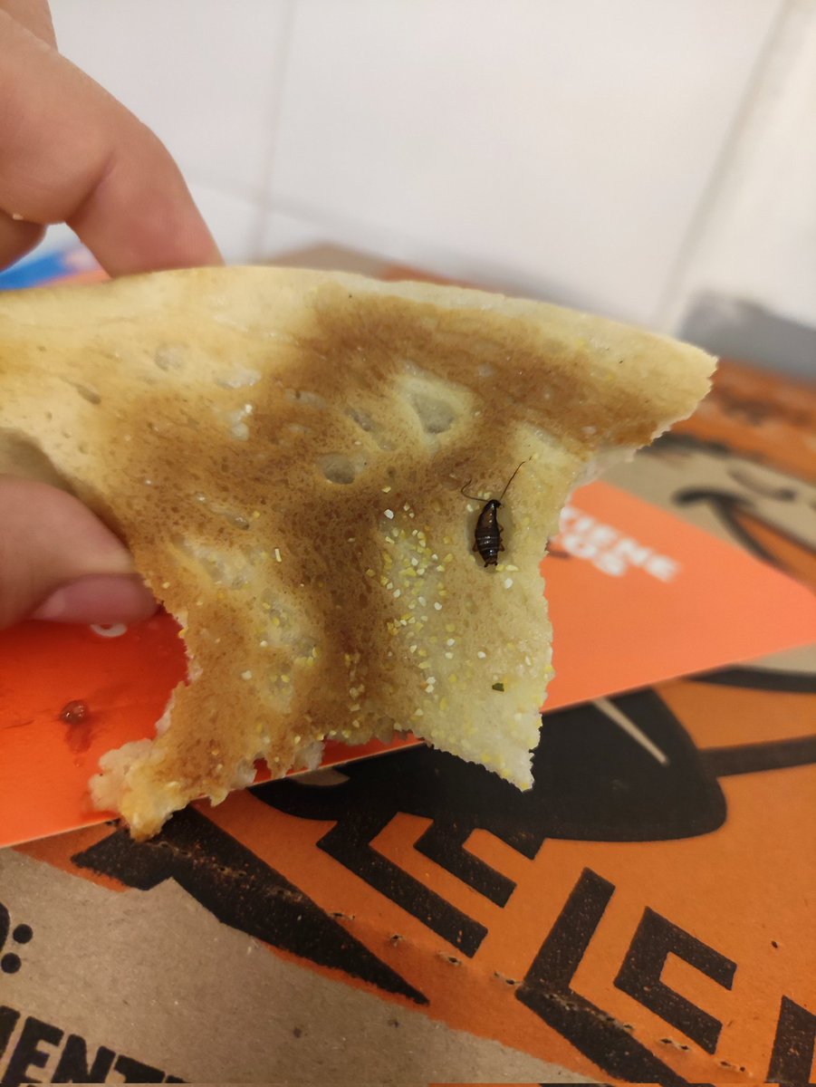 Oscar_dguezz's tweet photo. @littlecaesarsmx Que pedo? https://t.co/5LboWSPA9l