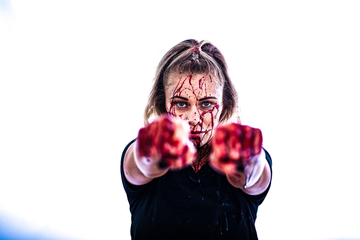 Josh Stolberg tweet media