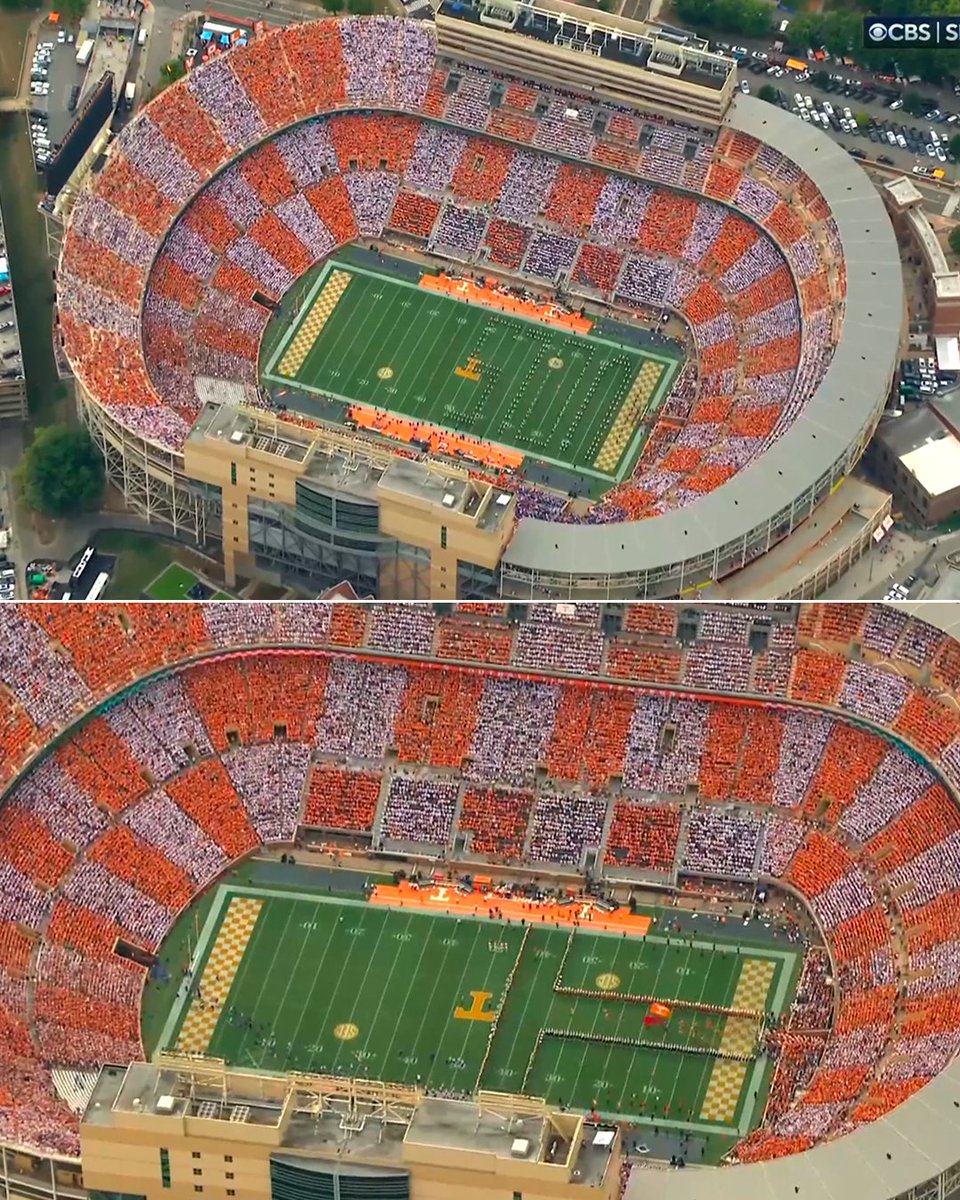 Checker Neyland 😍