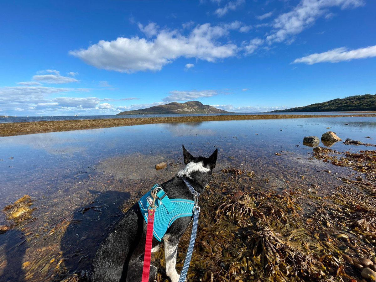 What another stunning day @VisitArran. ☀️
Blackwaterfoot (#BlackwaterBakehouse goodies), @N_T_S #BrodickCastle & #LamlashBay 😍