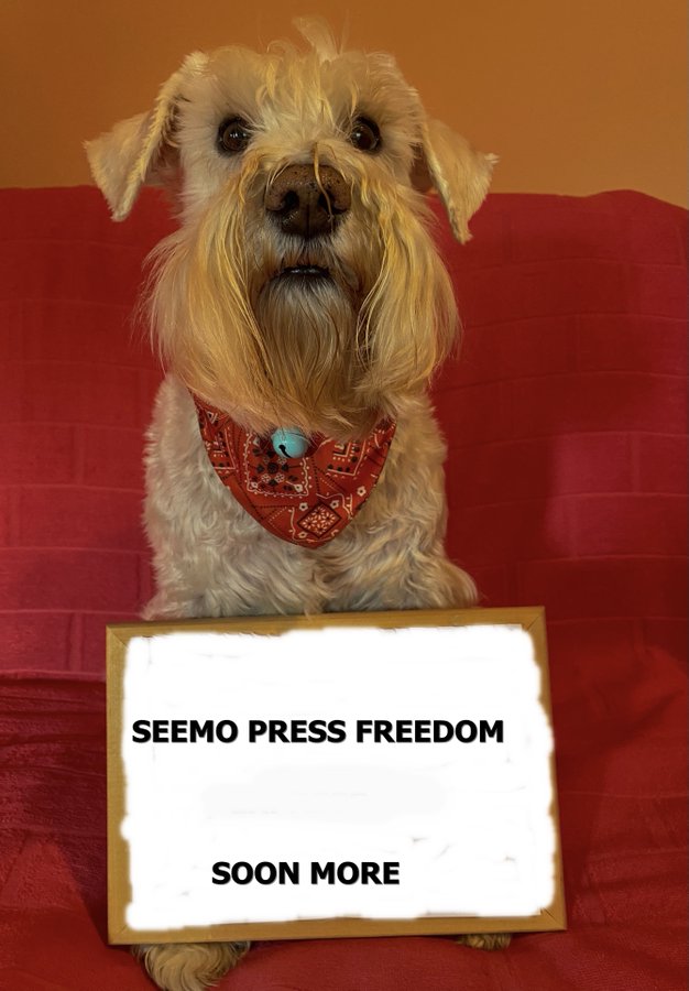 SEEMO (@seemofreemedia) on Twitter photo 