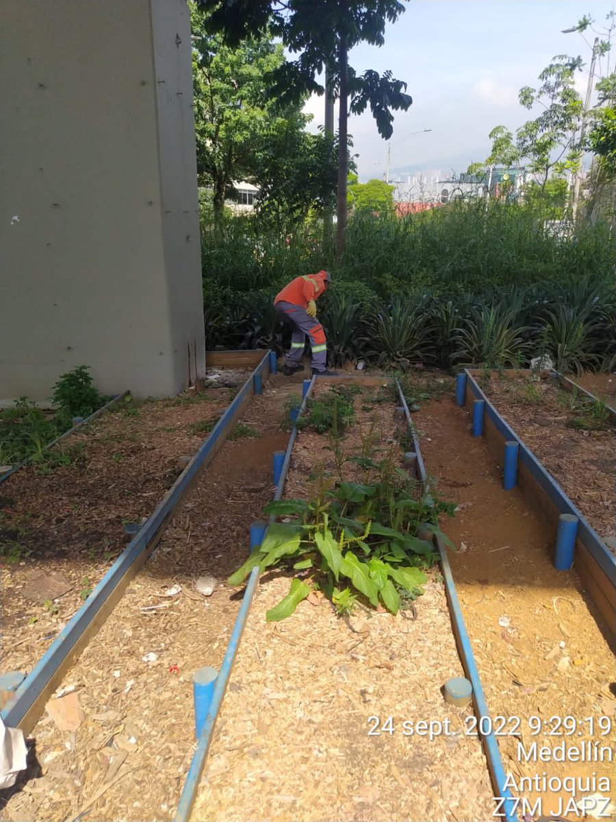 Emvarias's tweet photo. Recorrimos centro, Prado Centro, bajos de la Estación Hospital y mucho más para atender zonas abusadas con elementos voluminosos. Nuestra Fuerza Naranja es imparable. 💪🏾🧡 https://t.co/tWnlaSrtQW