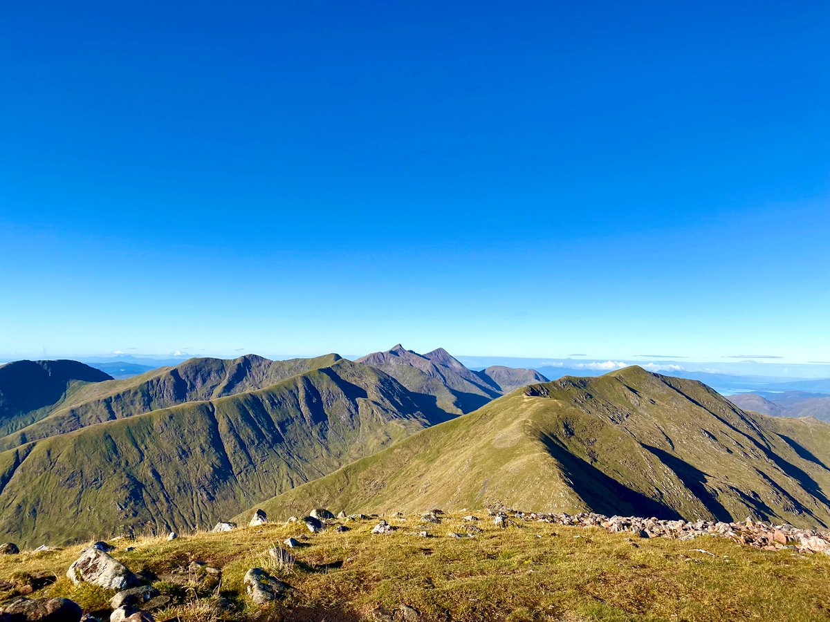 Dr Max Holloway tweet media