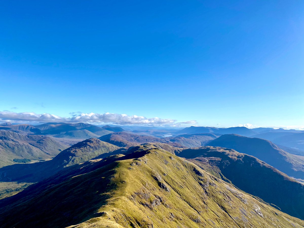 Dr Max Holloway tweet media