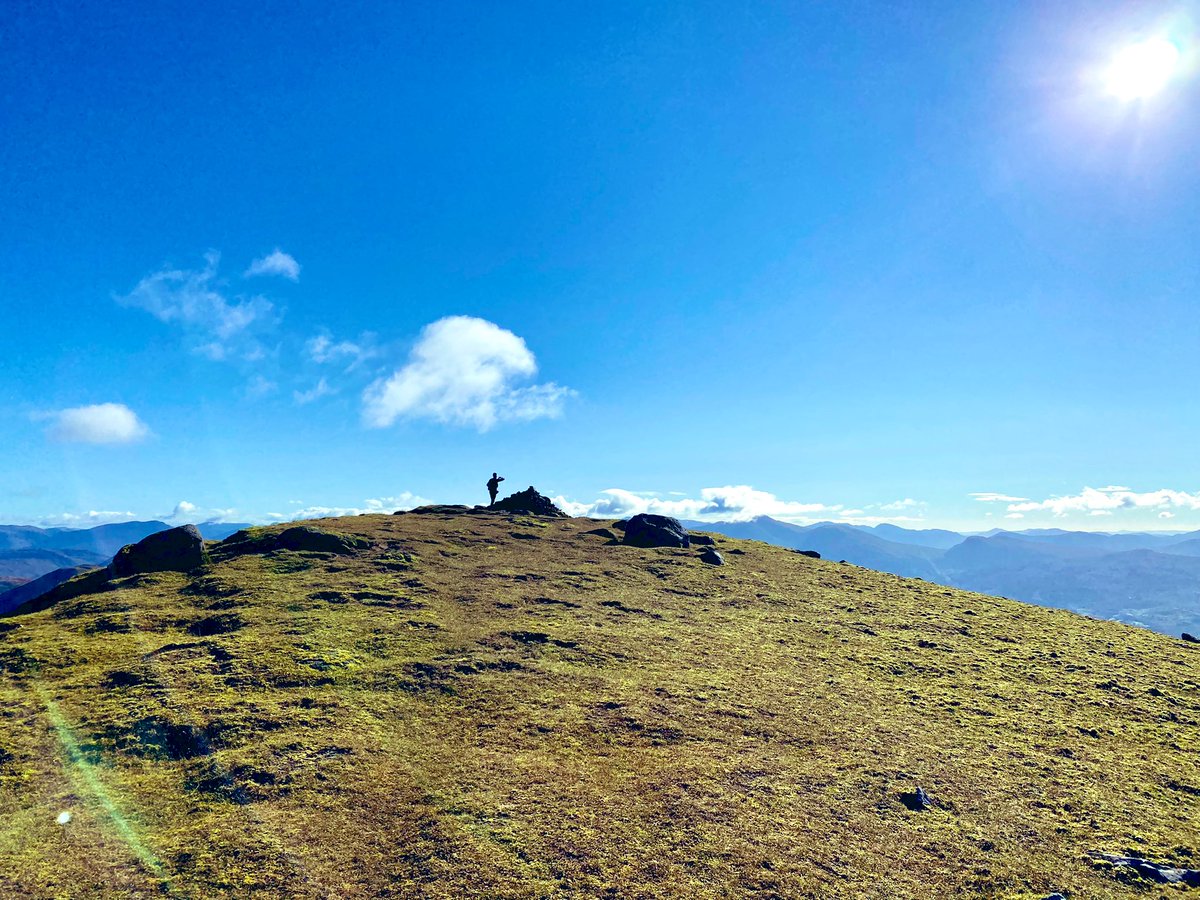 Dr Max Holloway tweet media