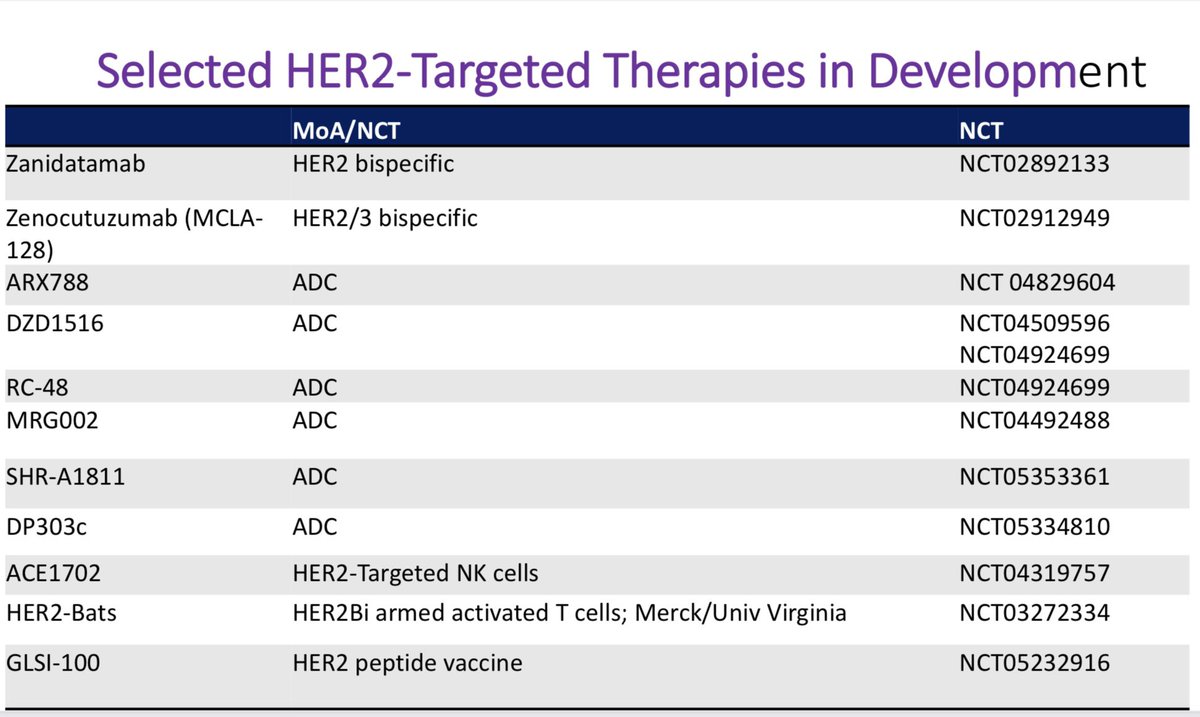 LurieCancer's tweet photo. #LSBC22 Conference chair, @DrWGradishar from @LurieCancer @NUFeinbergMed on recent approvals and other targeted therapies for HER2+ #metastaticbreastcancer in the wings. https://t.co/WwKSlfXd2v