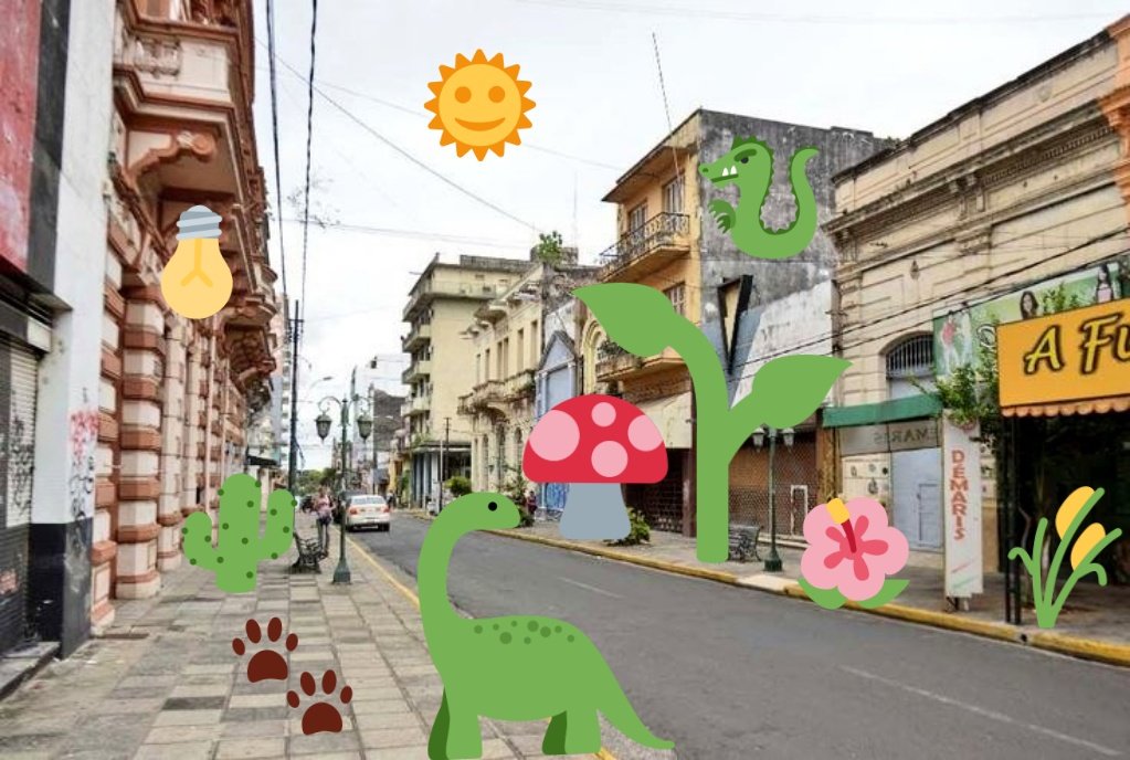 Así quedó la calle Palma hermoseada. Gracias a la buena gestión de Nenecho Rodríguez.