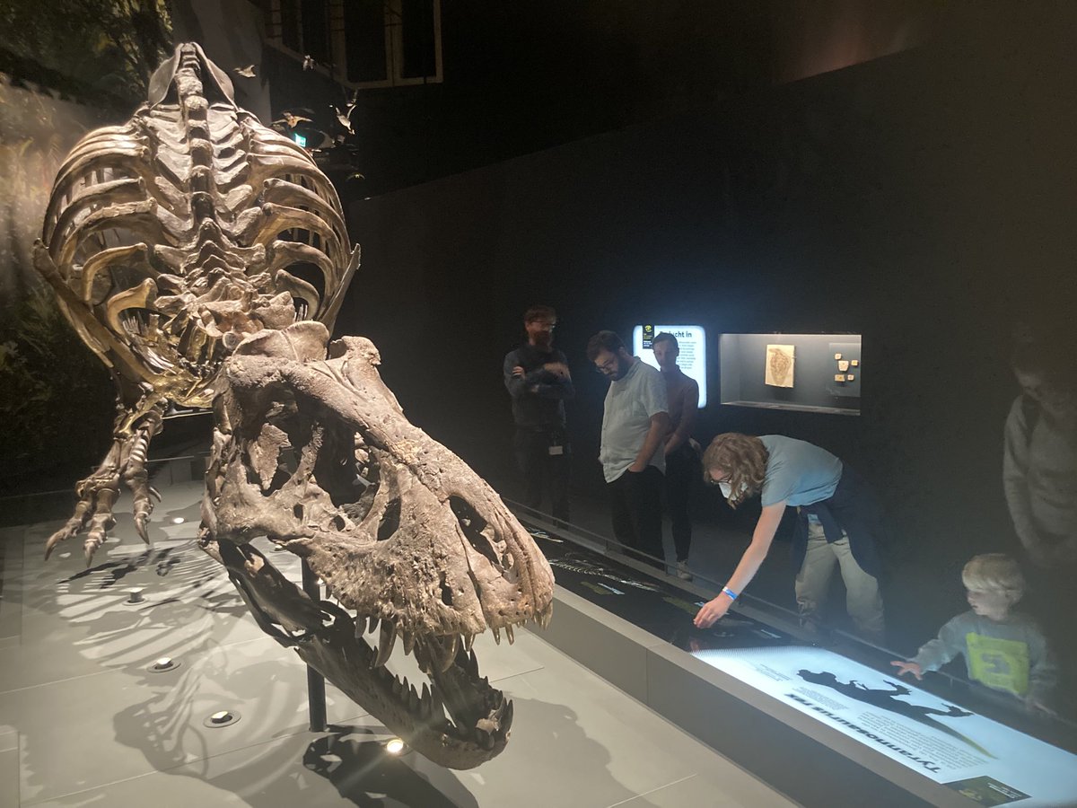 2022European's tweet photo. The soothing last gallery of ⁦@Naturalis_Sci⁩ was badly needed. Thanks to Martin Rücklin and ⁦@Anneschulp⁩ for making our “field” trip such a blast. Now sweet conodont dreams everyone! https://t.co/fikSlJ6StQ