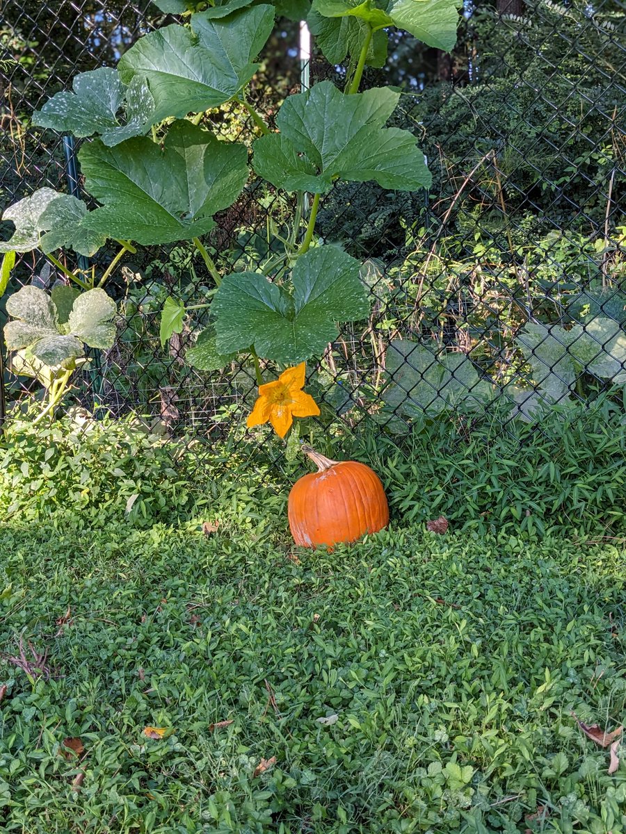 Magic Key FM tweet media