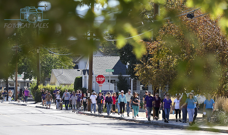 FotoCatTales's tweet photo. About 50 people participated in today's Prevention Starts Here Mental Wellness Awareness Event and Walk hosted by @PartnershipCC1, Suicide Prevention Network &amp; @pdc_douglas. The event raises awareness of local resources available for healthy self-care and mental wellness. https://t.co/URJC7BhqJj