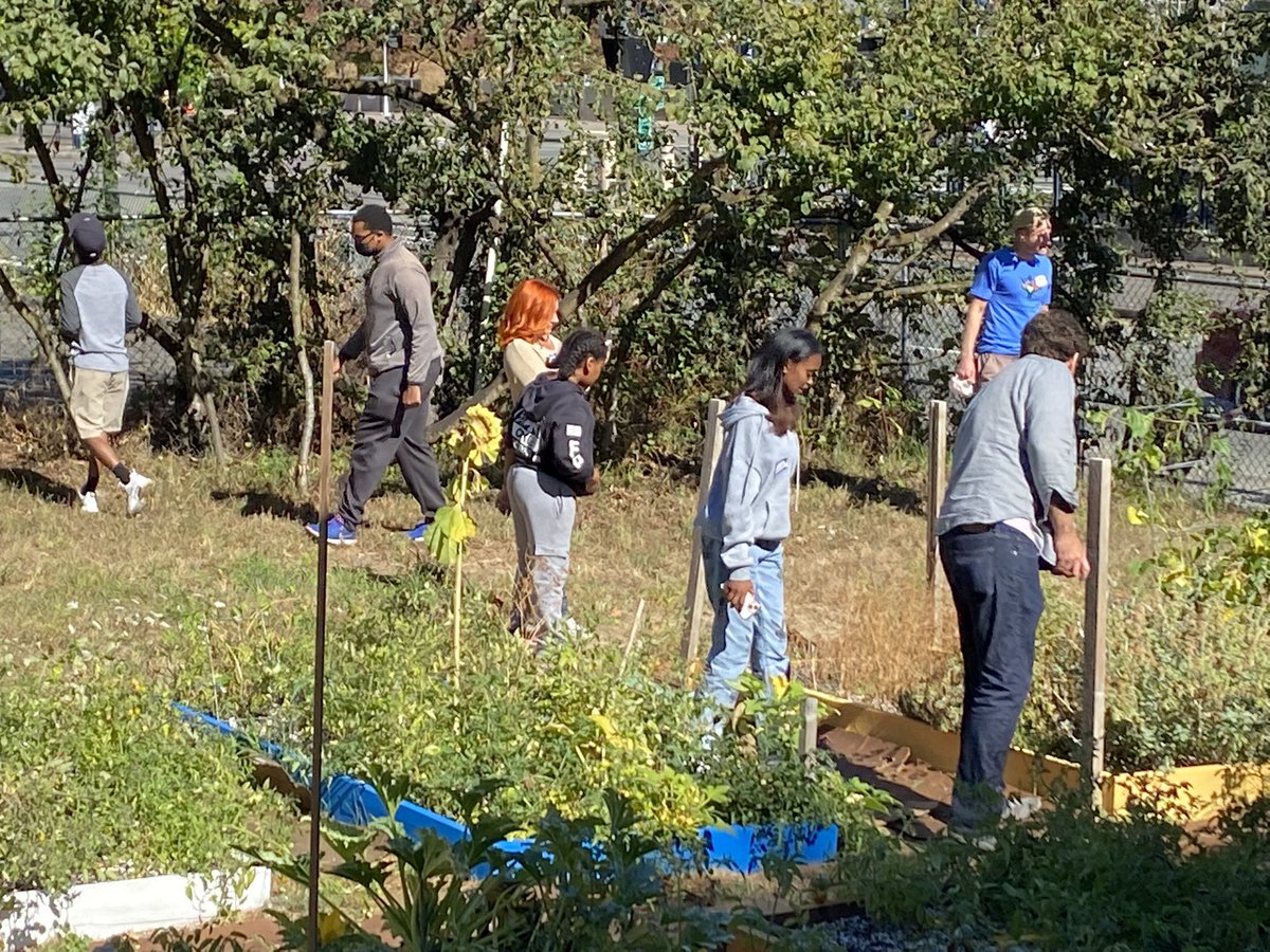 FN_JConyers's tweet photo. JJ here, Documenting our group trying documenting at the #RBACGarden.  #RBACVolunteerTraining Event! #SetTheRecordStraight #RainierBeach #RBACVT https://t.co/0zbWHAqsEn
