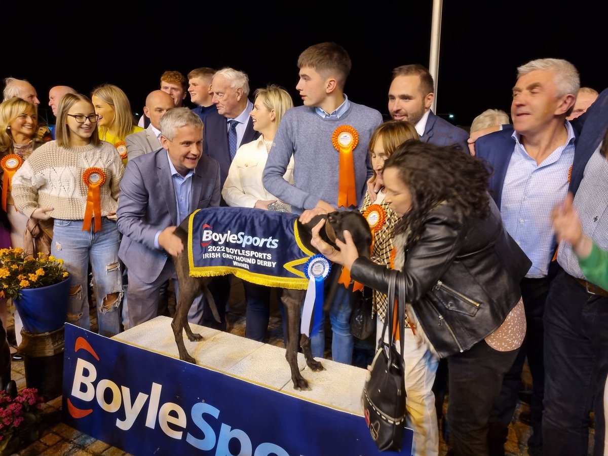 Shelbourne Park Greyhound Stadium tweet media