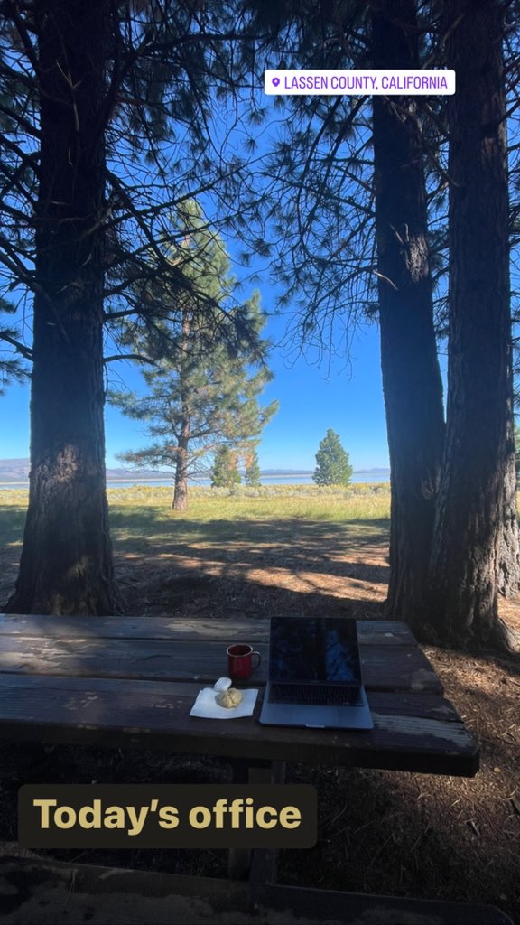 Melani Gordon tweet media