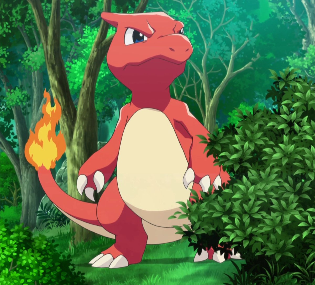 MyFavCharmeleon's tweet photo. @PrisimScizor https://t.co/aEexn7eTfL