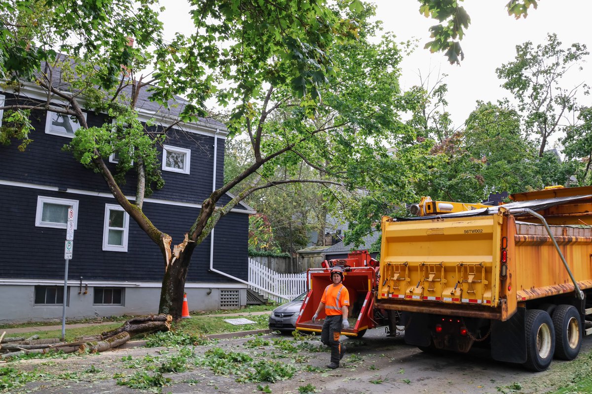 Hussain Sinan tweet media