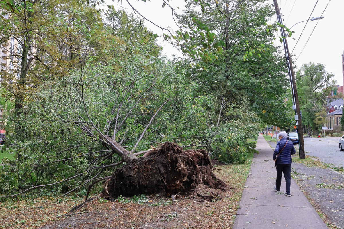 Hussain Sinan tweet media