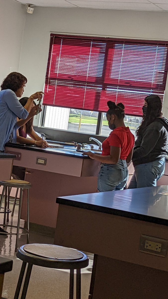 SBCSS Digital Learning/Computer Science Education (@sbcss_edtech) on Twitter photo #BlendedLearning success this week! Love seeing students in their science classes so engaged while building on #studentagency! #AlmeriaBlended #Removingbarriers <a href="/FUSD_AlmeriaMS/">Almeria Middle</a>
Truly moving away from the one size fits all model! #BlendedLearning success this week! Love seeing students in their science classes so engaged while building on #studentagency! #AlmeriaBlended #Removingbarriers <a href="/FUSD_AlmeriaMS/">Almeria Middle</a>
Truly moving away from the one size fits all model!