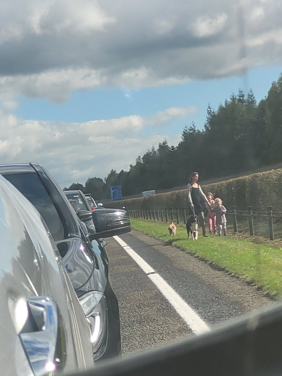 EggheadzH's tweet photo. @GardaTraffic More accidents waiting to happen! https://t.co/Qo0LDLGrQn