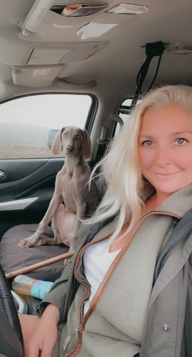 lynnslabs's tweet photo. After the last 2 years I’m loving life   Don’t take anything for granted and live every day.#Weimaraner #labrador #Cumbria https://t.co/cbsPXTD7X0